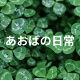 R8年度教育実習の申し込み・受け入れについて